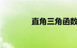 直角三角函數(shù)邊角關系圖解