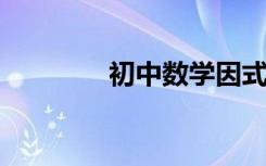 初中數(shù)學因式分解如何講解