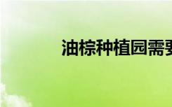 油棕種植園需要更多的多樣性