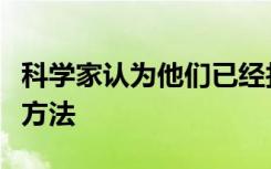 科學(xué)家認為他們已經(jīng)找到一種讓貓咪注意你的方法