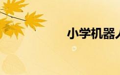 小學(xué)機(jī)器人課程怎樣