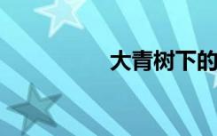大青樹下的小學(xué)手抄報
