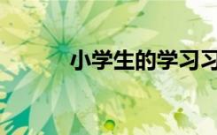 小學生的學習習慣有哪些特點？