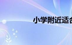 小學(xué)附近適合做什么生意