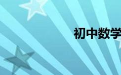初中數(shù)學(xué)因式分解