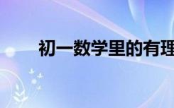 初一數(shù)學(xué)里的有理數(shù)知識點有什么？