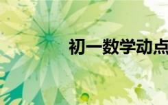 初一數(shù)學(xué)動點問題解題技巧