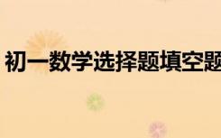 初一數(shù)學(xué)選擇題填空題有何解題方法和技巧？