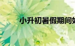 小升初暑假期間如何預(yù)習(xí)初一語(yǔ)文