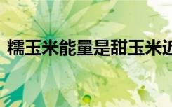 糯玉米能量是甜玉米近2倍，減肥時(shí)要少吃？