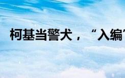 柯基當(dāng)警犬，“入編”竟是因?yàn)檫@個(gè)優(yōu)勢(shì)！