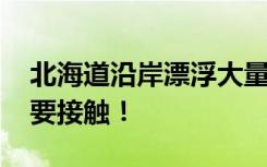 北海道沿岸漂浮大量死魚 當?shù)卣妫翰灰佑|！