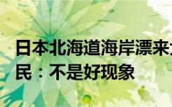 日本北海道海岸漂來大量沙丁魚綿延7公里 漁民：不是好現(xiàn)象