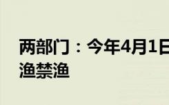 兩部門：今年4月1日至7月31日 黃河流域休漁禁漁