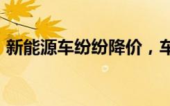 新能源車紛紛降價，車險保費為何不降反升?