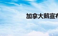加拿大鵝宣布將裁員17%