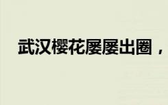 武漢櫻花屢屢出圈，他們都來(lái)武漢賞櫻啦