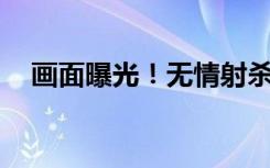 畫面曝光！無(wú)情射殺，用推土機(jī)掩埋……