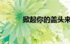 掀起你的蓋頭來歌曲原唱（掀）