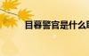 目暮警官是什么職位（目暮警官）