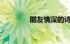 朋友情深的詩(shī)句（朋友情）