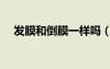 發(fā)膜和倒膜一樣嗎（發(fā)膜和倒膜的區(qū)別）
