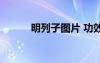 明列子圖片 功效（明列子圖片）