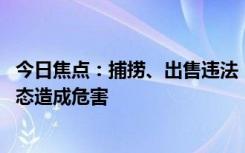 今日焦點(diǎn)：捕撈、出售違法！中國(guó)大閘蟹正在入侵英國(guó) 對(duì)生態(tài)造成危害