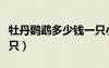 牡丹鸚鵡多少錢(qián)一只小型（牡丹鸚鵡多少錢(qián)一只）