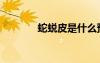 蛇蛻皮是什么預(yù)兆（蛇蛻皮）