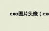 exo圖片頭像（exo圖片全體照桌面）