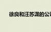 徐良和汪蘇瀧的公司（徐良和汪蘇瀧）