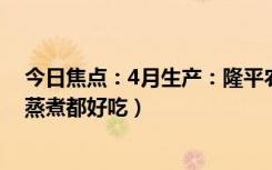 今日焦點(diǎn)：4月生產(chǎn)：隆平農(nóng)場東北晶米10斤39.4元發(fā)車（蒸煮都好吃）