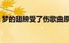 夢(mèng)的翅膀受了傷歌曲原唱（夢(mèng)的翅膀受了傷）