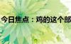 今日焦點(diǎn)：雞的這個(gè)部位 寧可扔掉也不要吃！