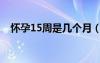 懷孕15周是幾個月（懷孕14周是幾個月）
