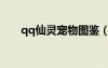 qq仙靈寵物圖鑒（qq仙靈寵物煉化）