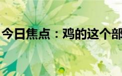 今日焦點(diǎn)：雞的這個(gè)部位 寧可扔掉也不要吃！