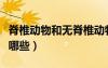 脊椎動(dòng)物和無(wú)脊椎動(dòng)物有哪些（無(wú)脊椎動(dòng)物有哪些）