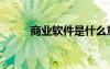 商業(yè)軟件是什么意思（商業(yè)軟件）