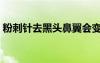 粉刺針去黑頭鼻翼會(huì)變大嗎（粉刺針去黑頭）
