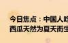 今日焦點(diǎn)：中國人吃掉全世界70%的西瓜：西瓜天然為夏天而生