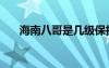 海南八哥是幾級保護(hù)動物（海南八哥）