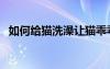 如何給貓洗澡讓貓乖乖的（如何給貓洗澡）