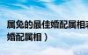 屬兔的最佳婚配屬相表大全圖片（屬兔的最佳婚配屬相）