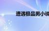 遭遇極品男小說（遭遇極品男）