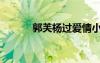 郭芙楊過愛情小說（郭芙楊過）