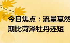 今日焦點(diǎn)：流量戛然而止 網(wǎng)友：郭有才的花期比菏澤牡丹還短