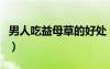 男人吃益母草的好處（益母草怎么吃效果最好）