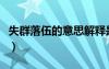 失群落伍的意思解釋是什么（失群落伍的意思）